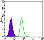 DKK3 Antibody in Flow Cytometry (Flow)