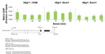 DNMT3A Antibody in ChIP Assay (ChIP)