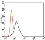 FZD5 Antibody in Flow Cytometry (Flow)