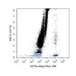 CD79a Antibody in Flow Cytometry (Flow)