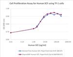 PeproGMP® Human SCF Protein in Functional Assay (Functional)