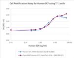 PeproGMP® Human SCF Protein in Functional Assay (Functional)