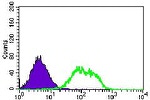 GUCY1A3 Antibody in Flow Cytometry (Flow)