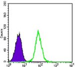 GYS1 Antibody in Flow Cytometry (Flow)