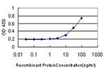 AADAC Antibody in ELISA (ELISA)