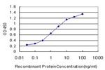 ABL2 Antibody in ELISA (ELISA)