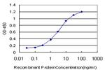 ABL2 Antibody in ELISA (ELISA)