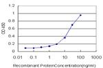 ACTB Antibody in ELISA (ELISA)