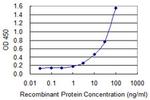 ACTB Antibody in ELISA (ELISA)