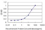 ADCY2 Antibody in ELISA (ELISA)