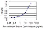 ADORA2A Antibody in ELISA (ELISA)