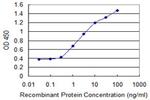 AP2B1 Antibody in ELISA (ELISA)