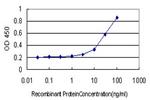 NR0B1 Antibody in ELISA (ELISA)