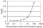 AK1 Antibody in ELISA (ELISA)