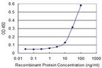 AK1 Antibody in ELISA (ELISA)