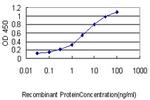 AK1 Antibody in ELISA (ELISA)