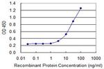 AK2 Antibody in ELISA (ELISA)