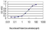 AKT2 Antibody in ELISA (ELISA)