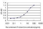 ALDH2 Antibody in ELISA (ELISA)