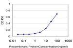 ALDH2 Antibody in ELISA (ELISA)