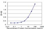 ALDH2 Antibody in ELISA (ELISA)