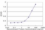 ALDH2 Antibody in ELISA (ELISA)