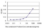 ALDH3A1 Antibody in ELISA (ELISA)