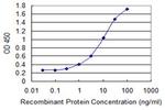 ALDH9A1 Antibody in ELISA (ELISA)