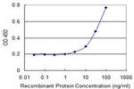 AKR1B1 Antibody in ELISA (ELISA)