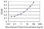 AMELX Antibody in ELISA (ELISA)