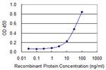 AMY2B Antibody in ELISA (ELISA)