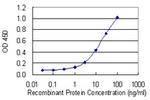 ANK1 Antibody in ELISA (ELISA)