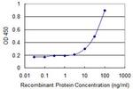 SLC25A5 Antibody in ELISA (ELISA)