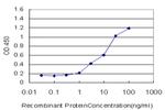 SLC25A6 Antibody in ELISA (ELISA)