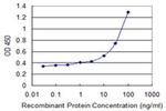 ANXA1 Antibody in ELISA (ELISA)