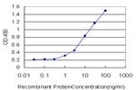 APLP2 Antibody in ELISA (ELISA)