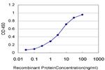 ARAF Antibody in ELISA (ELISA)