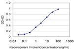 ARAF Antibody in ELISA (ELISA)