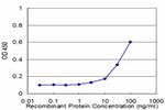 TRIM23 Antibody in ELISA (ELISA)