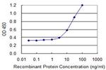 TRIM23 Antibody in ELISA (ELISA)