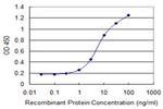 AREG Antibody in ELISA (ELISA)