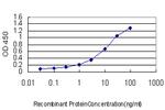 ARHGDIA Antibody in ELISA (ELISA)