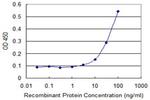 ARHGDIB Antibody in ELISA (ELISA)