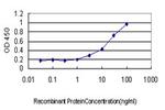 ASCL1 Antibody in ELISA (ELISA)