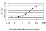 ASCL1 Antibody in ELISA (ELISA)