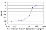 ASPH Antibody in ELISA (ELISA)