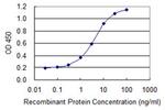 ATF4 Antibody in ELISA (ELISA)