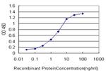 ATOX1 Antibody in ELISA (ELISA)