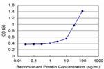 ATP1B2 Antibody in ELISA (ELISA)