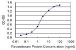 ATP2A1 Antibody in ELISA (ELISA)